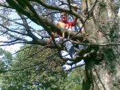 Połowa Mentos team na drzewie