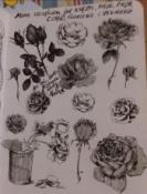 Moje czarne róże ☺
