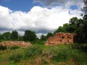 Ruiny Szubin