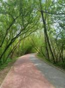 tunel 