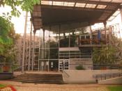 Park jak park, ale palmiarnia