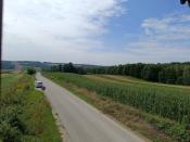  panorama z wieży
