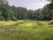 Widoki