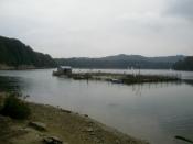 Tak widzi zalew skrzynka...