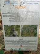  informacja