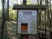 Tablica informacyjna