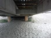 W tym kierunku szukaj