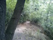 wjazd na ścieżke widok z mostu