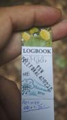 logbook