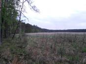 Ługi
