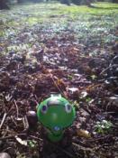 skrzynka  przy miejscu ukrycia