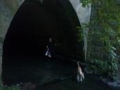 Zwierzu - wyjście z tunelu
