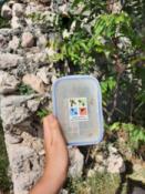 Tego nie szukamy! Szukamy jeszcze czegoś innego...