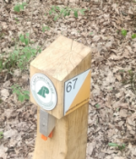 s.67