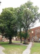 Zamek