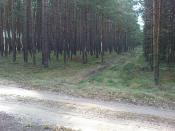 Można tędy lub ...