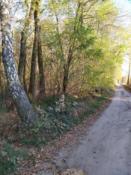 widok z lewej