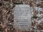 płyta nagrobna