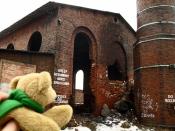 nieustraszony miś wkracza do akcji