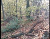 Z punktu widzenia kesza no prawe