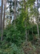 strefa poszukiwań