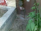 tu kiedyś był kesz