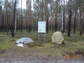 Widok ogólny