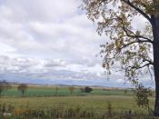 panorama