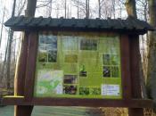 ścieżka przyrodniczo-leśna