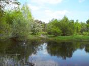 Kamienna ławeczka, widok spod kesza