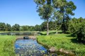 Widok na część jeziora leżącą w Arboretum.