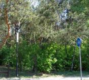 Widok na miejsce ukrycia