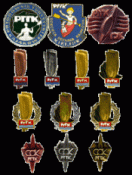 odznaki