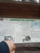 wilcze 3