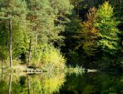 Jesień nad jeziorkiem