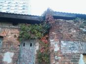 Działalność artystyczna