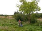 Tuż tuż, za tym drzewem...