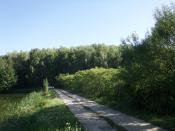 widok na Zamczysko