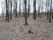 mało to przypomina teraz cmentarz