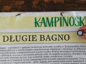 Zdjęcie 1