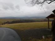 widok