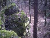 odsłonięcie geologiczne