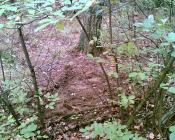 Miejsce gdzie powinna być skrzynka