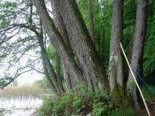 Jest to przyjazne miejsce na dobicie do brzegu