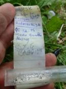 Logbook mokrusieńki; w keszu krople wody