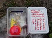 cache1