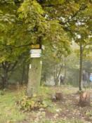 Mniej więcej kierunek marszu