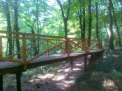 tędy też można...