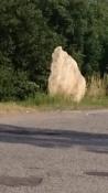 Menhir