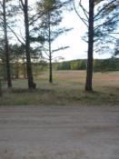 Miejsce ukrycia widoczne z drogi - liściaste drzewa w oddali